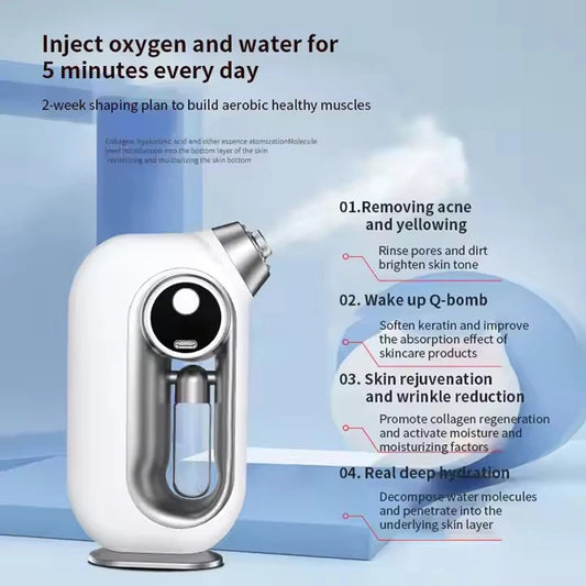 Nano Oxygen Injection Facial Moisturizing Steamer Machine Handheld Spray Gun Beauty Spray Mist Mini Oxygen